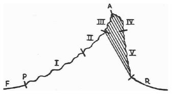 gráfico del orgasmo según Wilhelm Reich